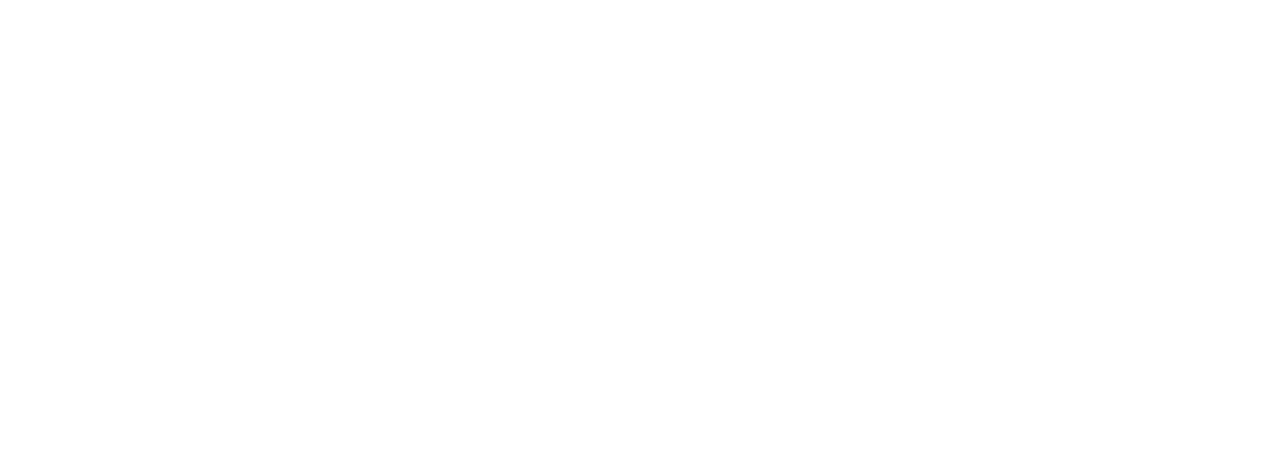 Rise Logo White